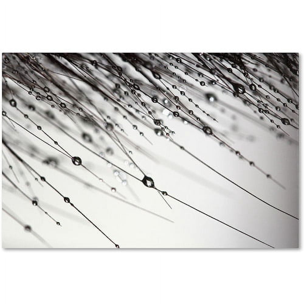 Trademark Fine Art "Her Wishes" Canvas Art by Beata Czyzowska Young