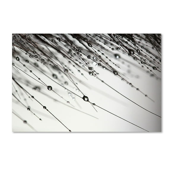 Trademark Fine Art "Her Wishes" Canvas Art by Beata Czyzowska Young