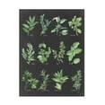 thumbnail image 1 of Trademark Fine Art 'Herb Chart on Black' Canvas Art by Chris Paschke, 1 of 4