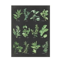 Trademark Fine Art 'Herb Chart on Black' Canvas Art by Chris Paschke