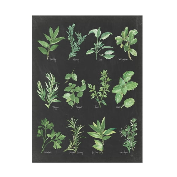 Trademark Fine Art 'Herb Chart on Black' Canvas Art by Chris Paschke
