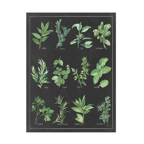 Trademark Fine Art 'Herb Chart on Black White Border' Canvas Art by Chris Paschke