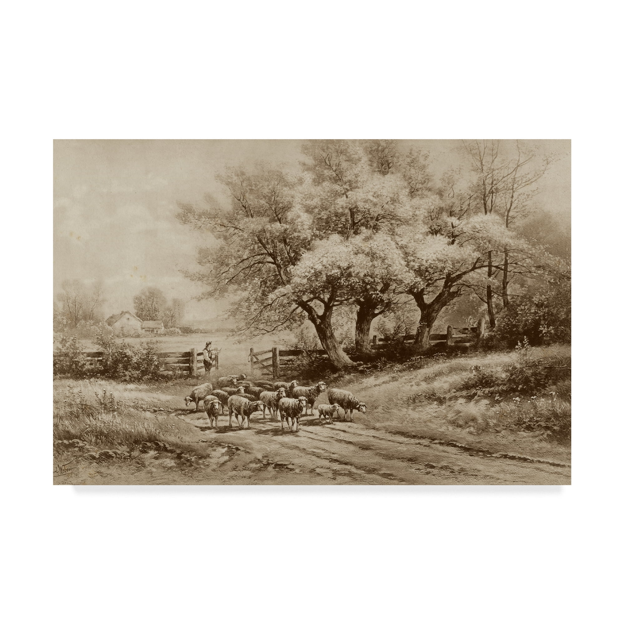 Trademark Fine Art 'Herding Sheep' Canvas Art by Carl Weber