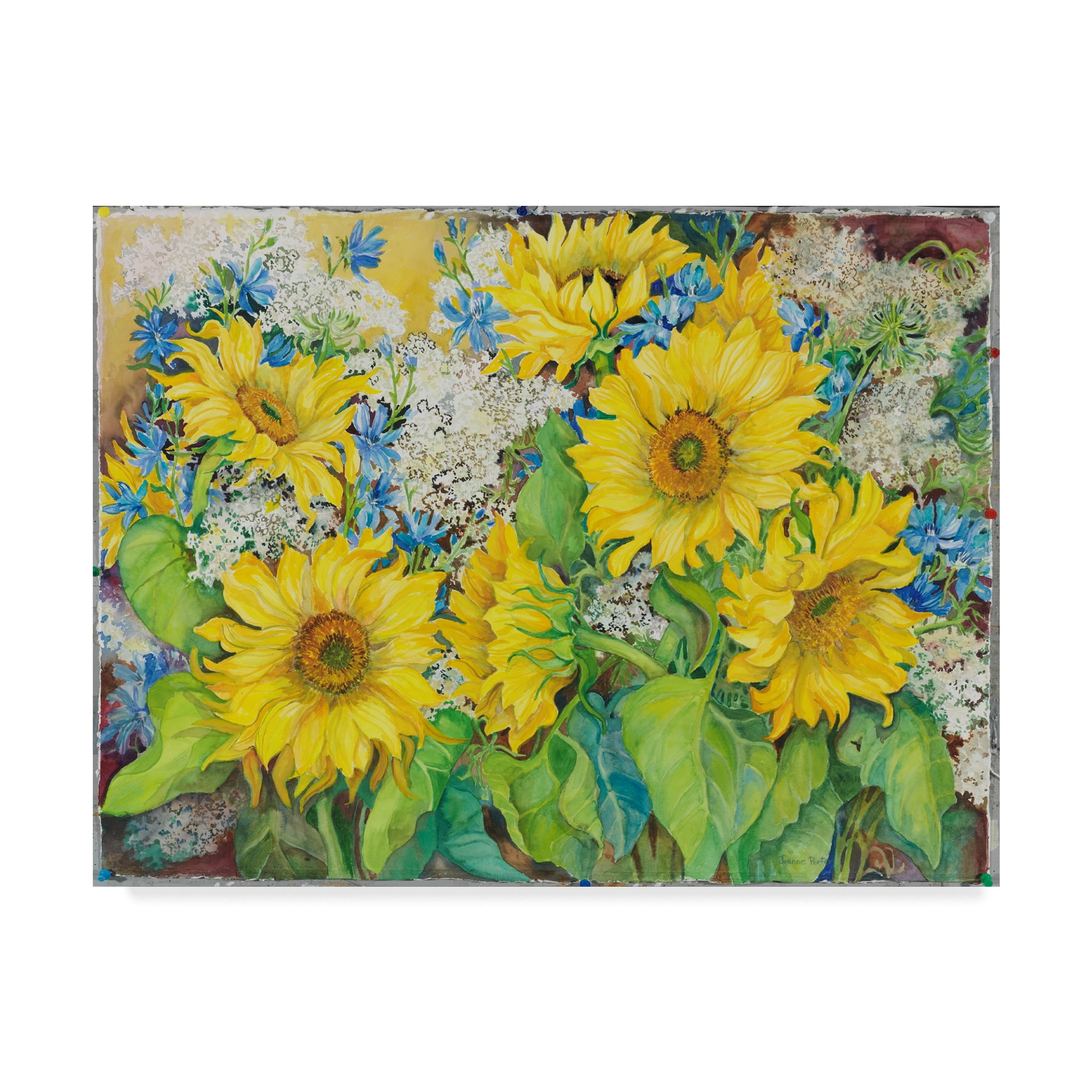 Trademark Fine Art 'Here Comes The Sun' Canvas Art by Joanne Porter