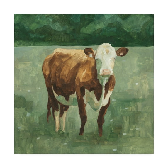 Trademark Fine Art 'Hereford Cattle I' Canvas Art by Emma Scarvey