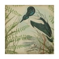 thumbnail image 1 of Trademark Fine Art 'Heron And Ferns I' Canvas Art by Vision Studio, 1 of 4