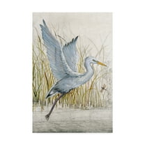 Trademark Fine Art 'Heron Sanctuary I' Canvas Art by Tim OToole