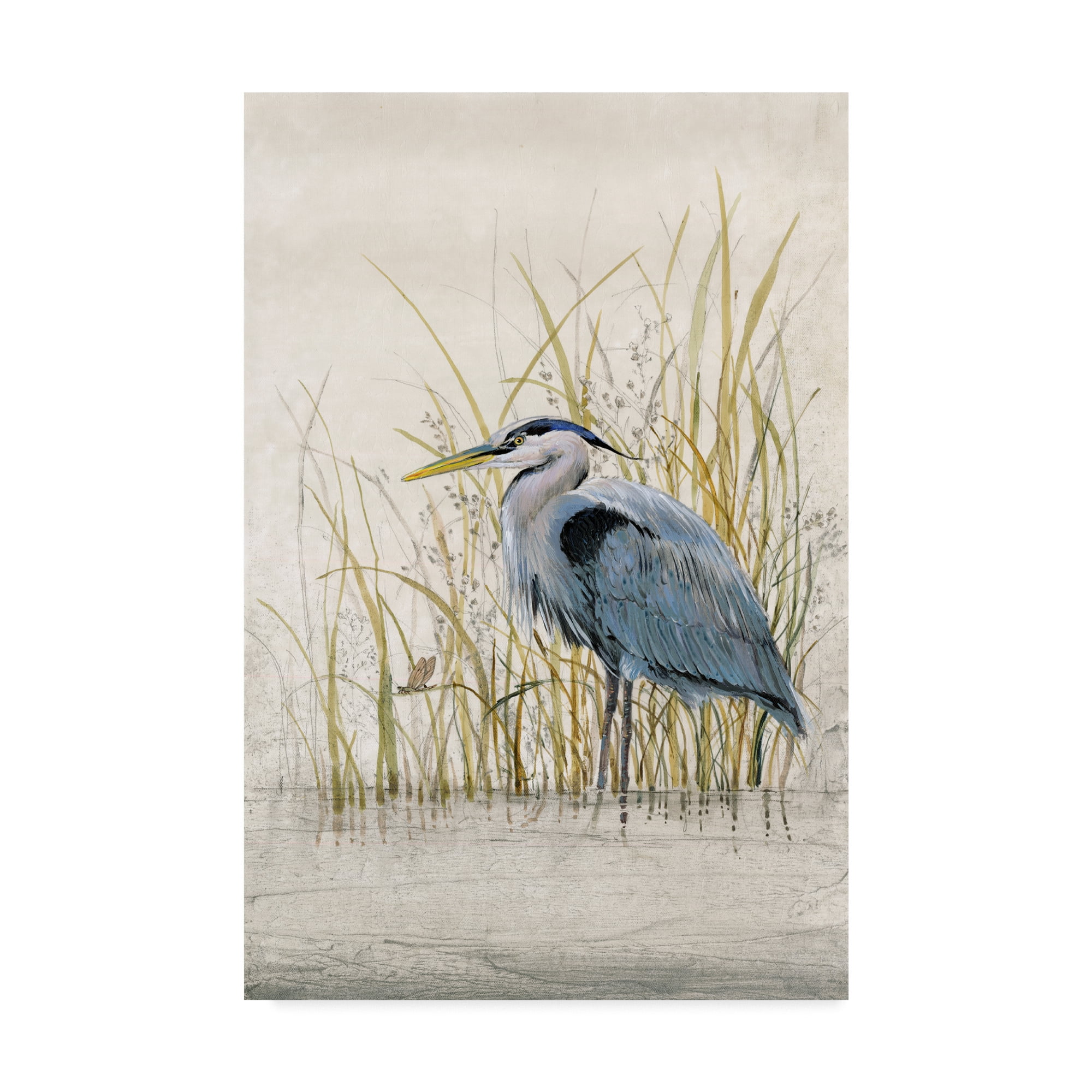 Trademark Fine Art 'Heron Sanctuary II' Canvas Art by Tim OToole