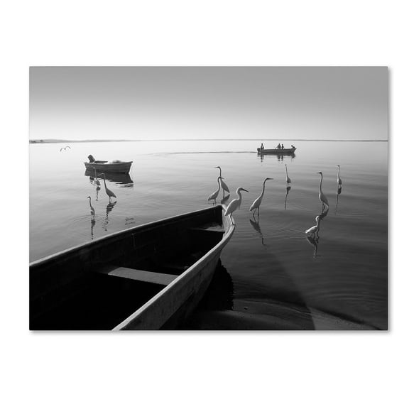 Trademark Fine Art "Herons and 3 Boats" Canvas Art by Moises Levy