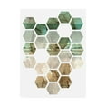 thumbnail image 1 of Trademark Fine Art 'Hex Collage I' Canvas Art by Pam Ilosky, 1 of 3