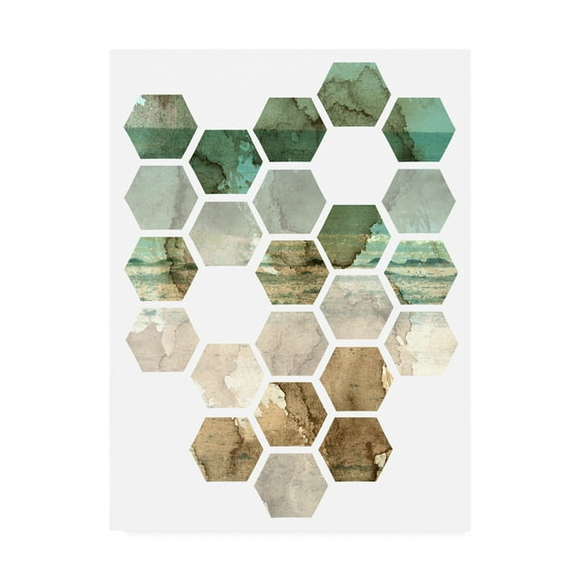 Trademark Fine Art 'Hex Collage I' Canvas Art by Pam Ilosky