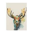 thumbnail image 1 of Trademark Fine Art 'Hi Fi Wildlife I' Canvas Art by Jennifer Goldberger, 1 of 4