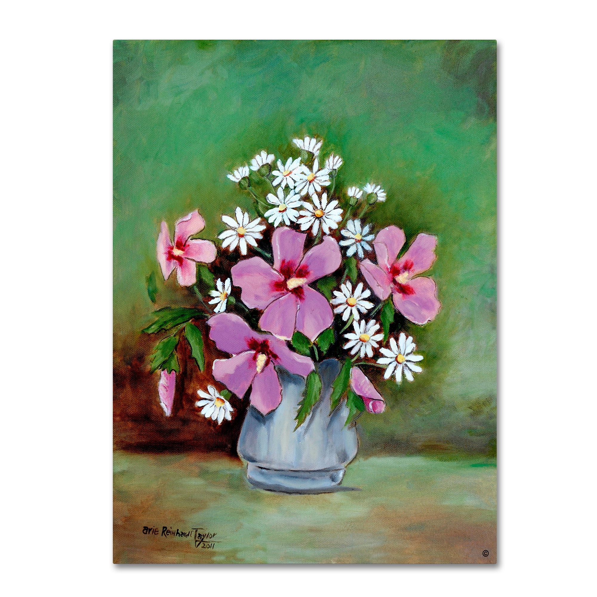 Trademark Fine Art 'Hibiscus And Daisies' Canvas Art by Arie Reinhardt Taylor