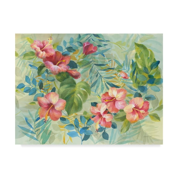 Trademark Fine Art 'Hibiscus Garden' Canvas Art by Danhui Nai