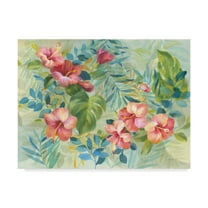 Trademark Fine Art 'Hibiscus Garden' Canvas Art by Danhui Nai