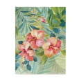 thumbnail image 1 of Trademark Fine Art 'Hibiscus Garden III' Canvas Art by Danhui Nai, 1 of 4