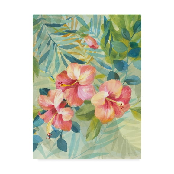Trademark Fine Art 'Hibiscus Garden III' Canvas Art by Danhui Nai