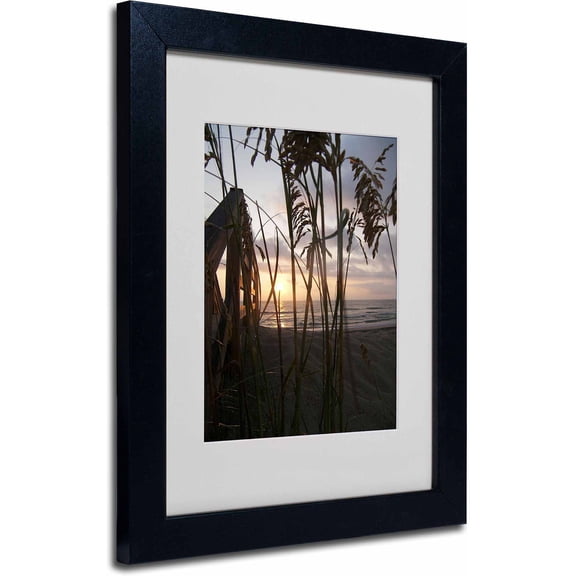 Trademark Fine Art "Hidden Life" Canvas Art by Monica Fleet, Black Frame