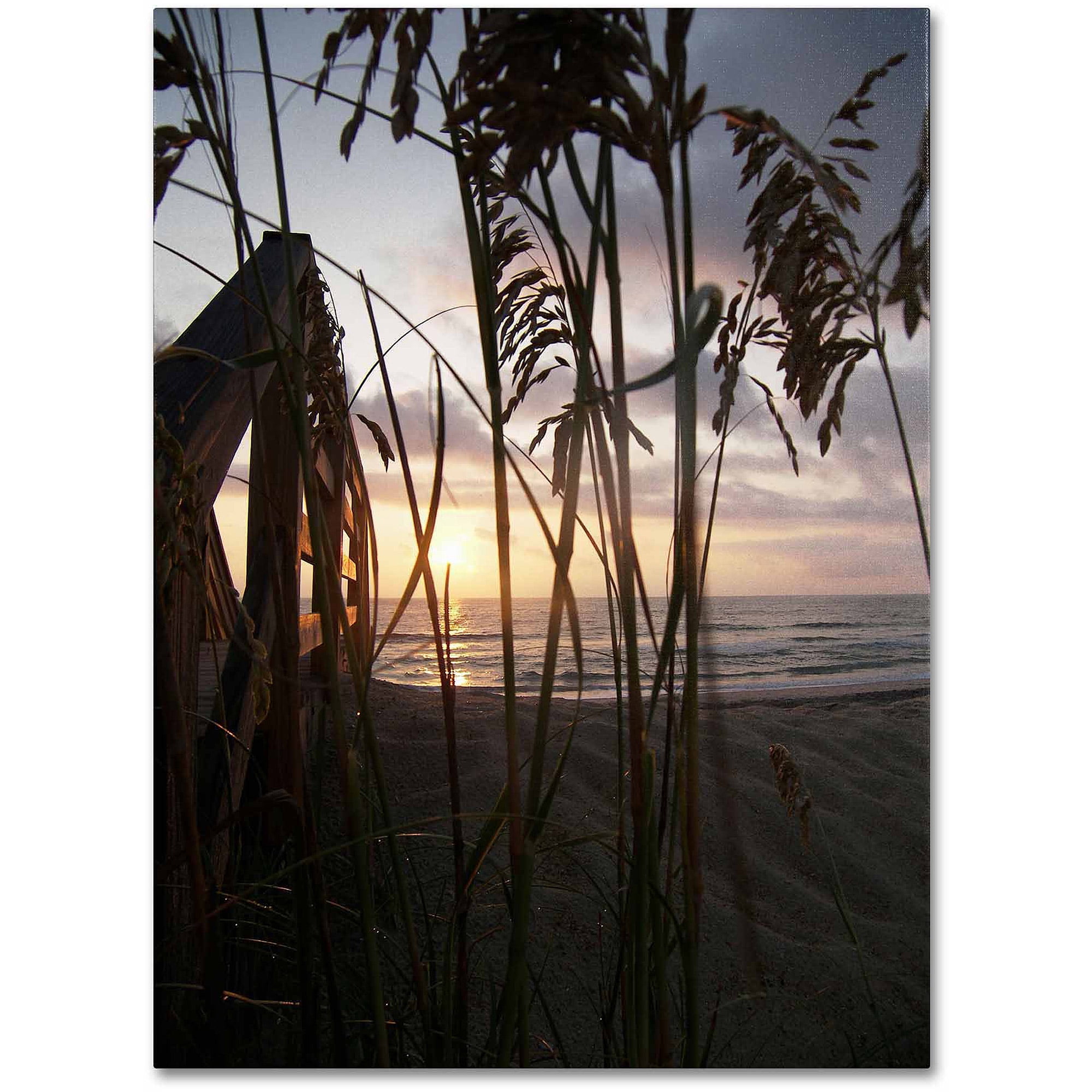 Trademark Fine Art "Hidden Life" Canvas Art by Monica Fleet