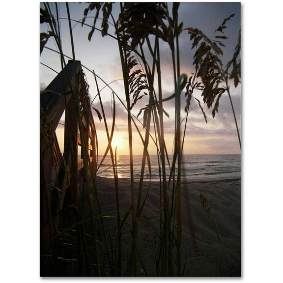 Trademark Fine Art "Hidden Life" Canvas Art by Monica Fleet
