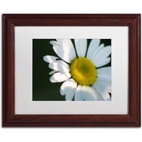 Trademark Fine Art "Hidden in Shadows" Canvas Art by Monica Mize, White Matte, Wood Frame