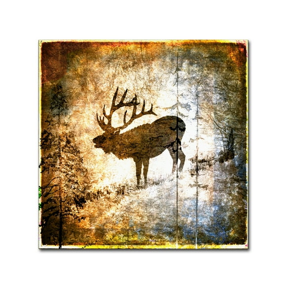 Trademark Fine Art 'High Country Elk' Canvas Art by LightBoxJournal