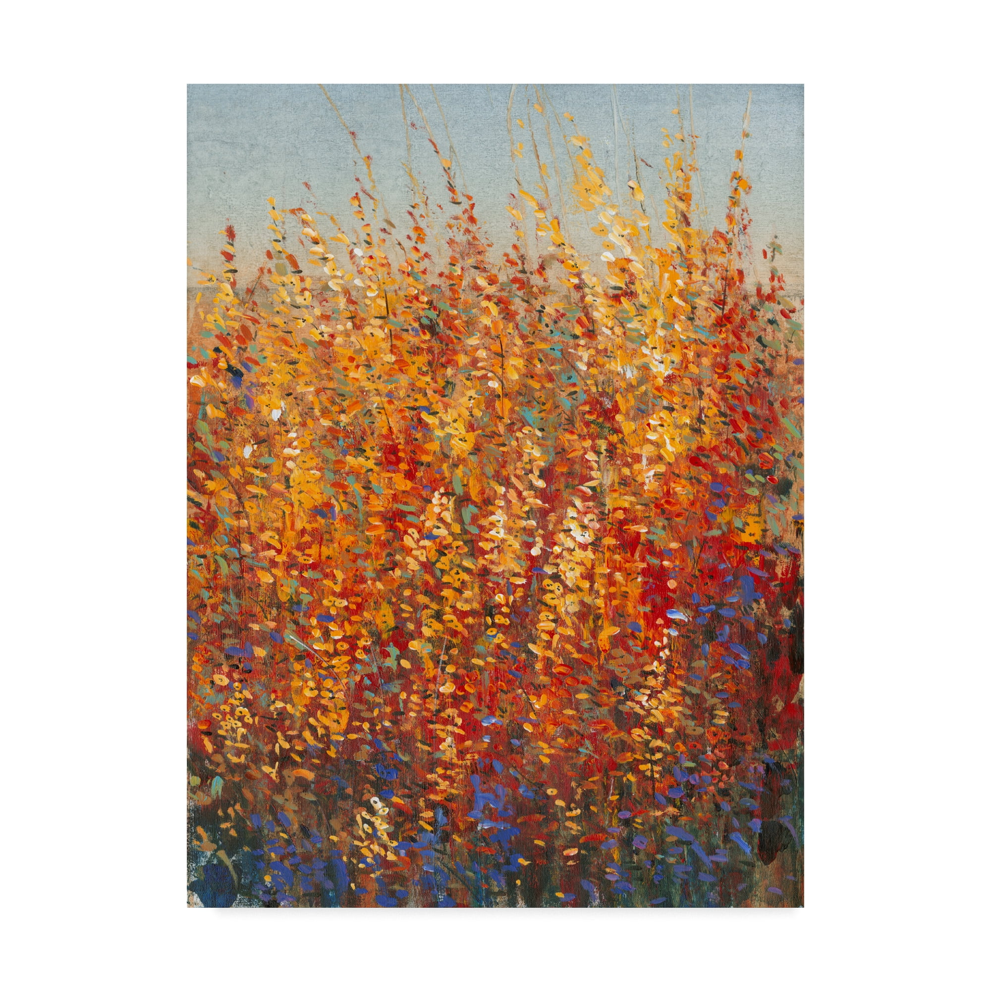 Trademark Fine Art 'High Desert Blossoms I' Canvas Art by Tim OToole