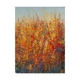 thumbnail image 1 of Trademark Fine Art 'High Desert Blossoms I' Canvas Art by Tim OToole, 1 of 4