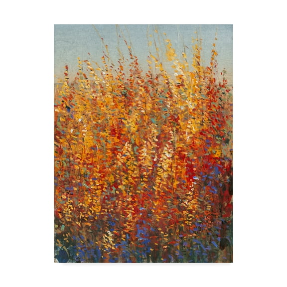 Trademark Fine Art 'High Desert Blossoms I' Canvas Art by Tim OToole