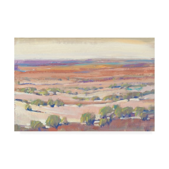 Trademark Fine Art 'High Desert Pastels I' Canvas Art by Tim OToole