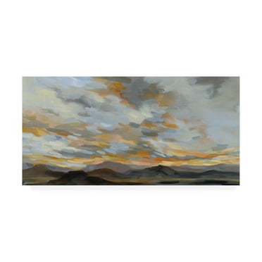 Trademark Fine Art 'High Desert Sky I' Canvas Art by Silvia Vassileva