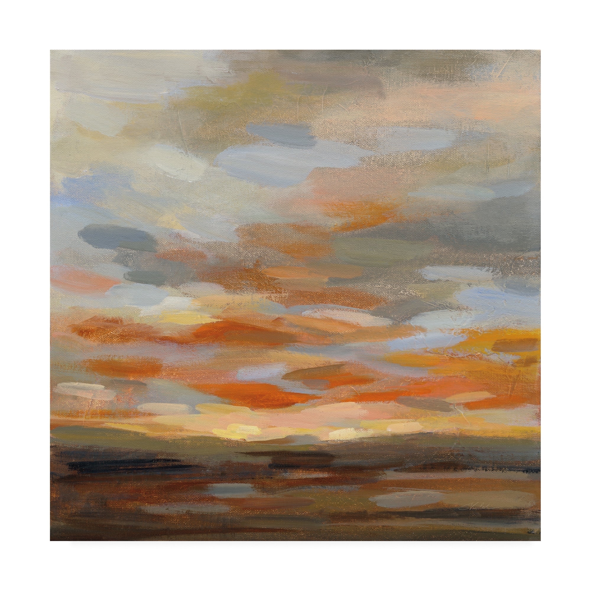 Trademark Fine Art 'High Desert Sky II' Canvas Art by Silvia Vassileva
