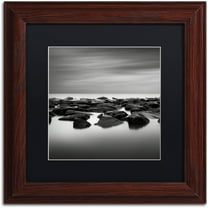 Trademark Fine Art "High Tide" Canvas Art by Dave MacVicar, Black Matte, Wood Frame