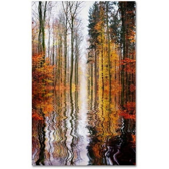 Trademark Fine Art "Higher Ground" Canvas Art by Philippe Sainte-Laudy
