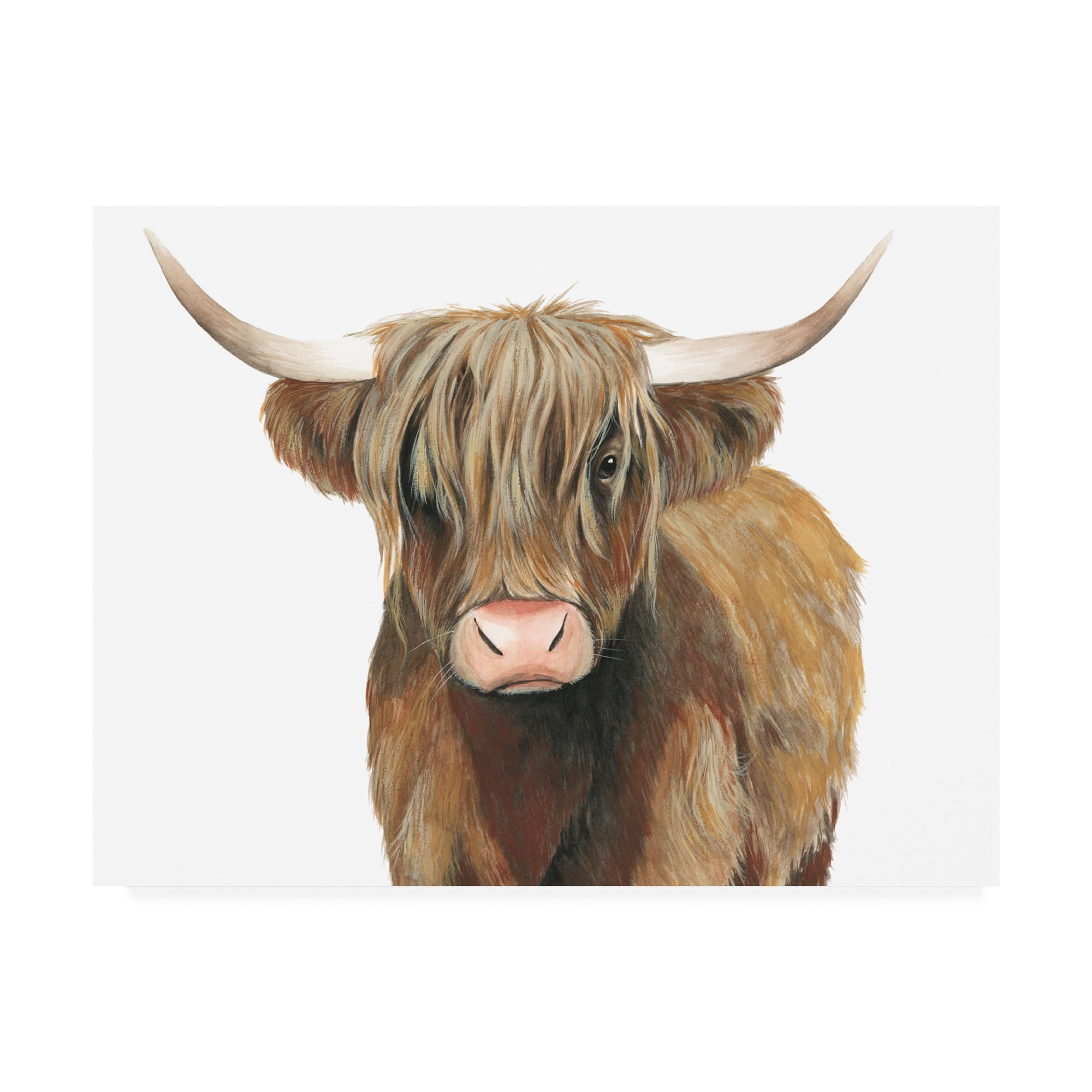 Trademark Fine Art 'Highland Cattle II' Canvas Art by Grace Popp