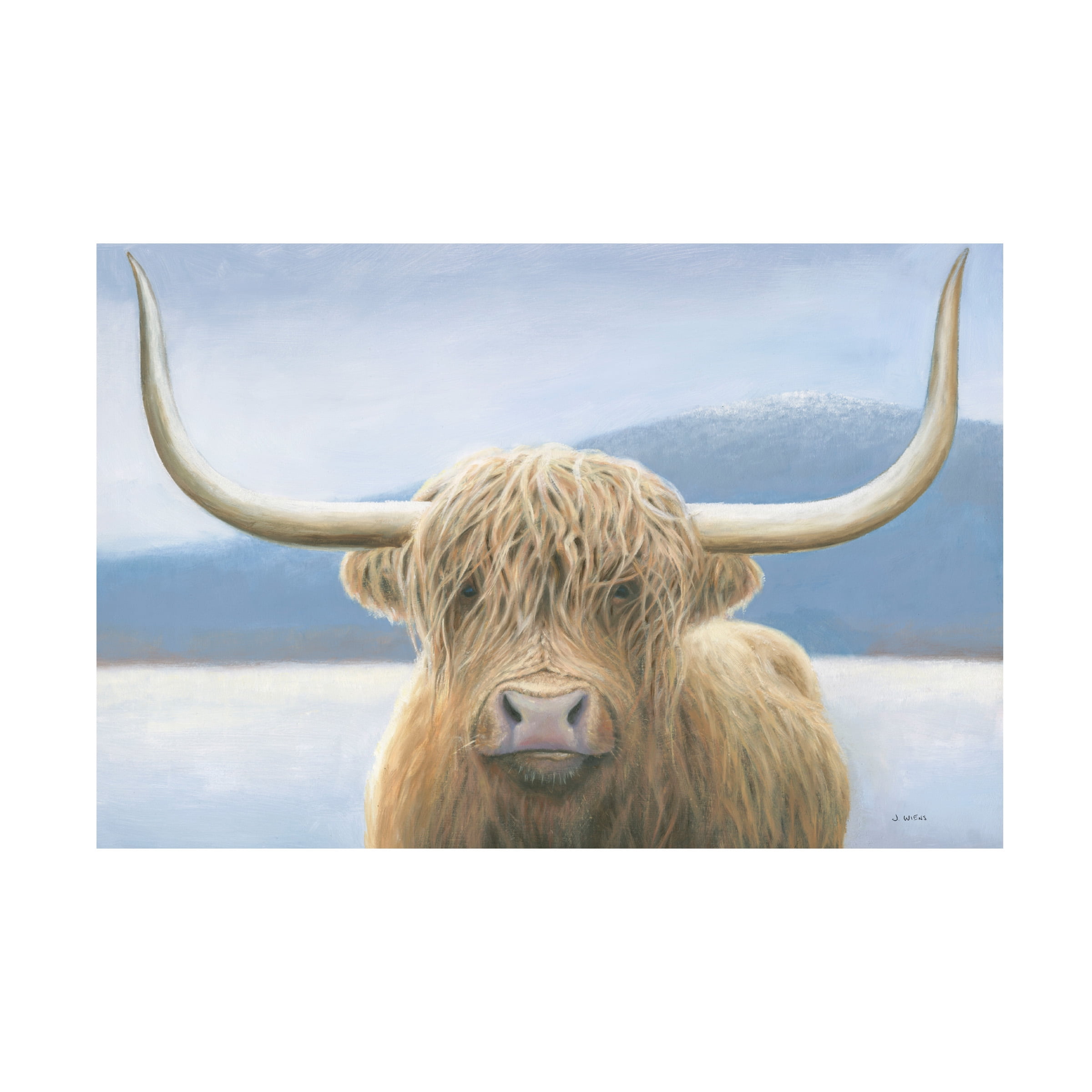 Trademark Fine Art 'Highland Cow' Canvas Art by James Wiens