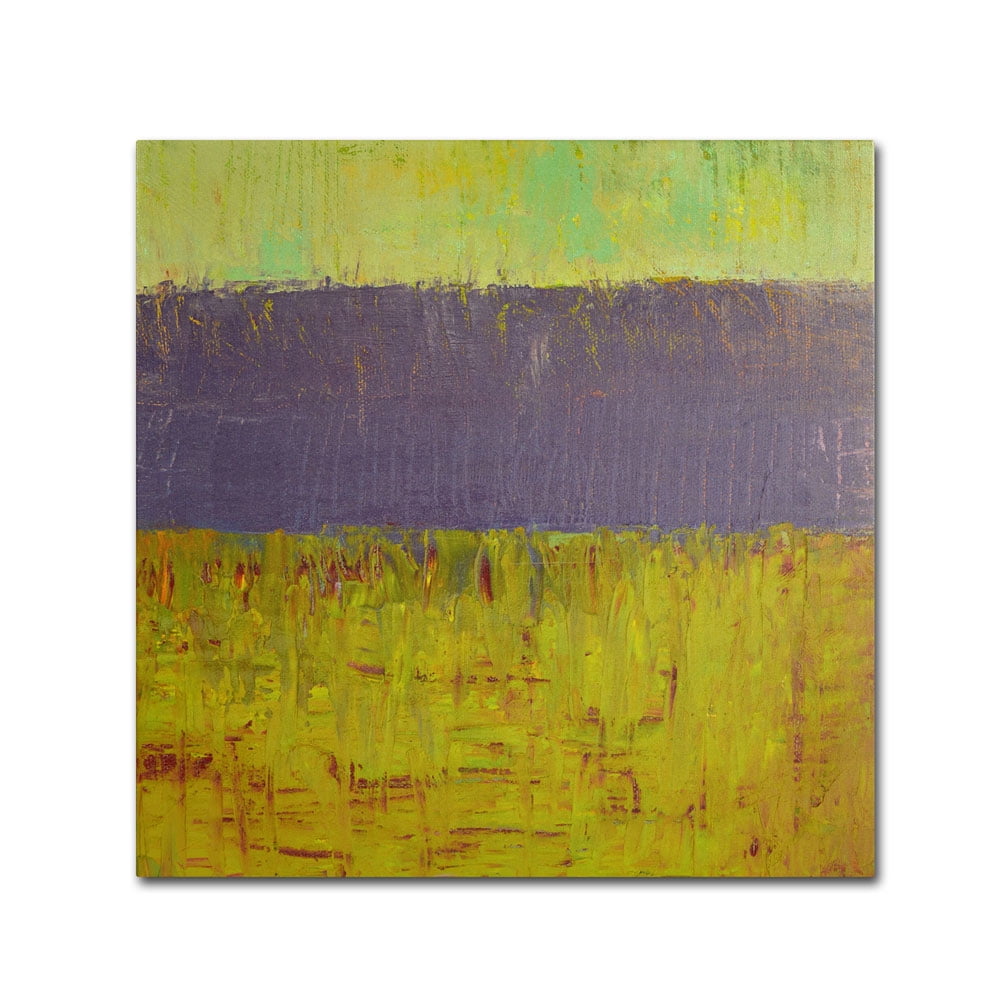 Trademark Fine Art "Highway Series Lake" Canvas Art by Michelle Calkins
