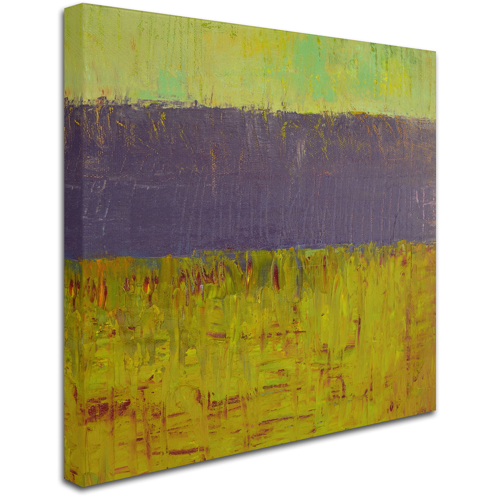 Trademark Fine Art "Highway Series Lake" Canvas Art by Michelle Calkins