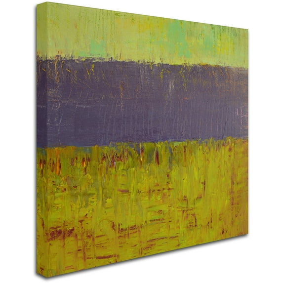 Trademark Fine Art "Highway Series Lake" Canvas Art by Michelle Calkins