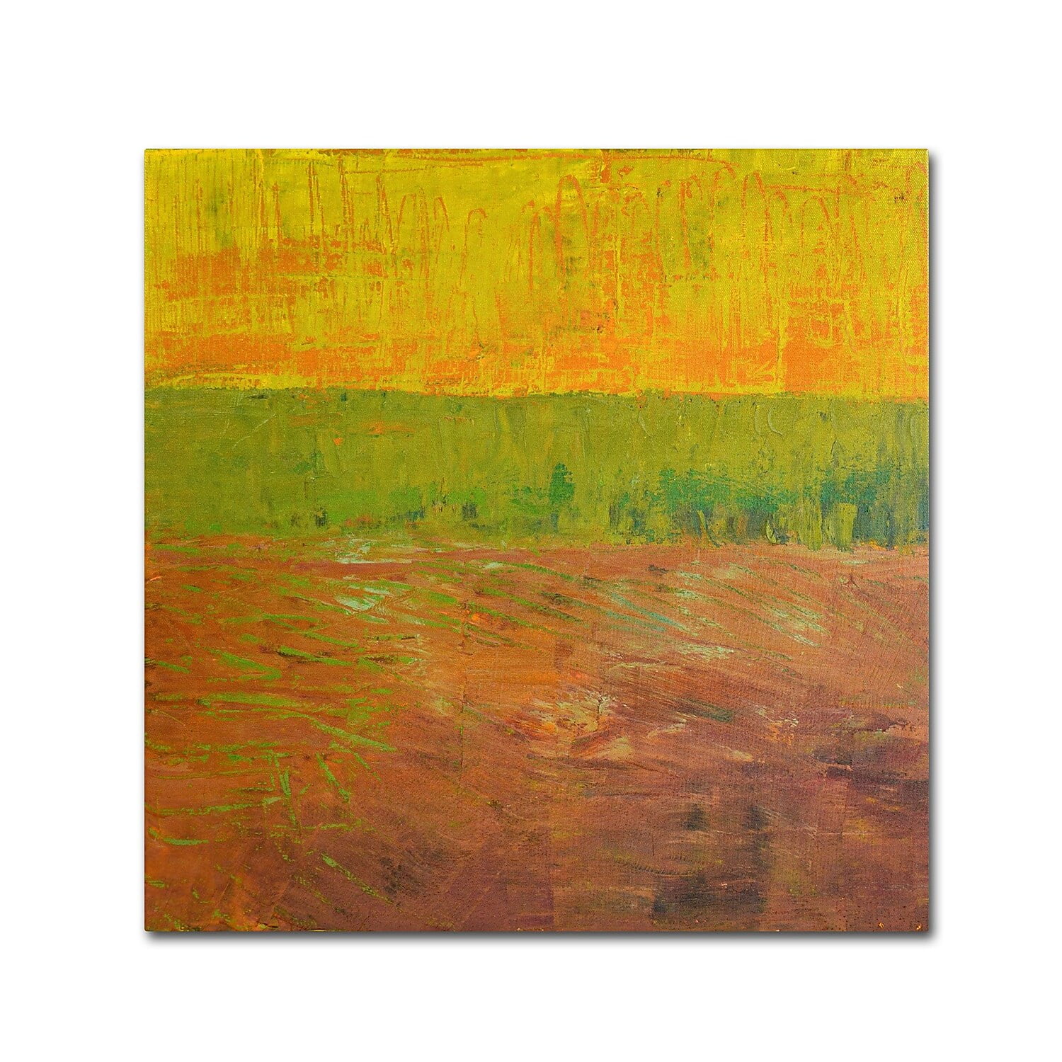 Trademark Fine Art "Highway Series Soil" Canvas Art by Michelle Calkins
