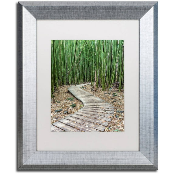 Trademark Fine Art 'Hiking Through the Bamboo Forest' Canvas Art by Pierre Leclerc, White Matte, Silver Frame