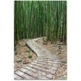 thumbnail image 1 of Trademark Fine Art 'Hiking Through the Bamboo Forest' Canvas Art by Pierre Leclerc, 1 of 4