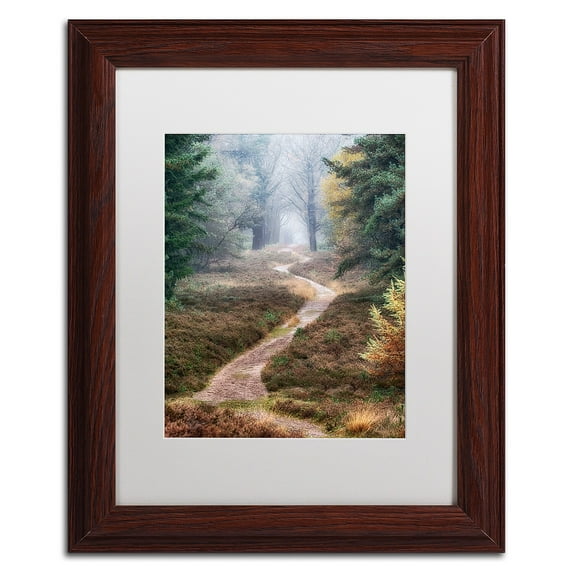 Trademark Fine Art 'Hiking Trail' Canvas Art by Cora Niele, White Matte, Wood Frame