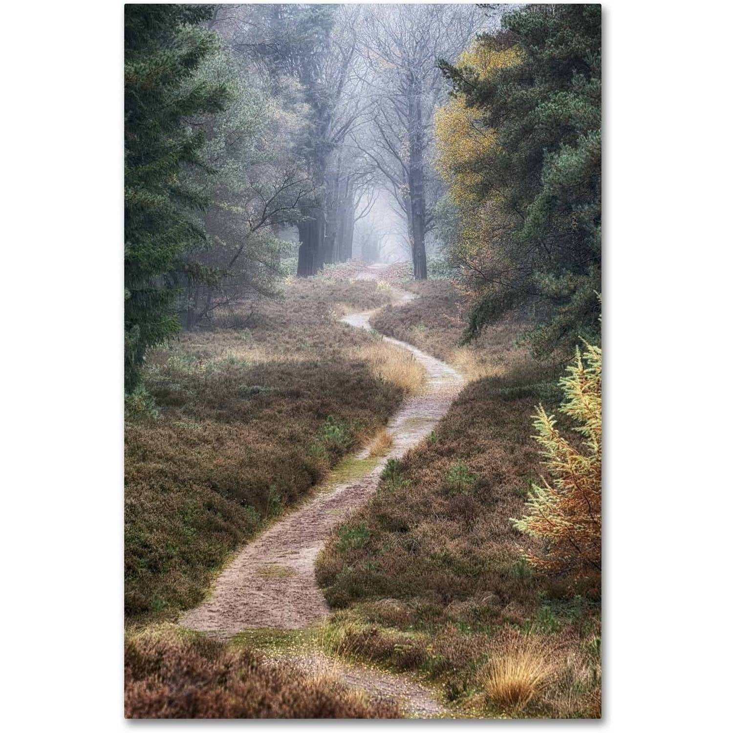 Misty Forest Path Framed Canvas Art, 27x33 Inches
