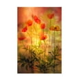 thumbnail image 1 of Trademark Fine Art Hilda van der Fire Canvas Wall Art, 1 of 4