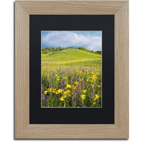 Trademark Fine Art "Hillside Bloom" Canvas Art by Michael Blanchette Photography Black Matte, Birch Frame