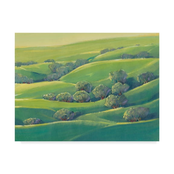 Trademark Fine Art 'Hillside View I' Canvas Art by Tim OToole