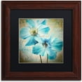 thumbnail image 1 of Trademark Fine Art "Himalayan Blue I" Canvas Art by Color Bakery Black Matte, Wood Frame, 1 of 4