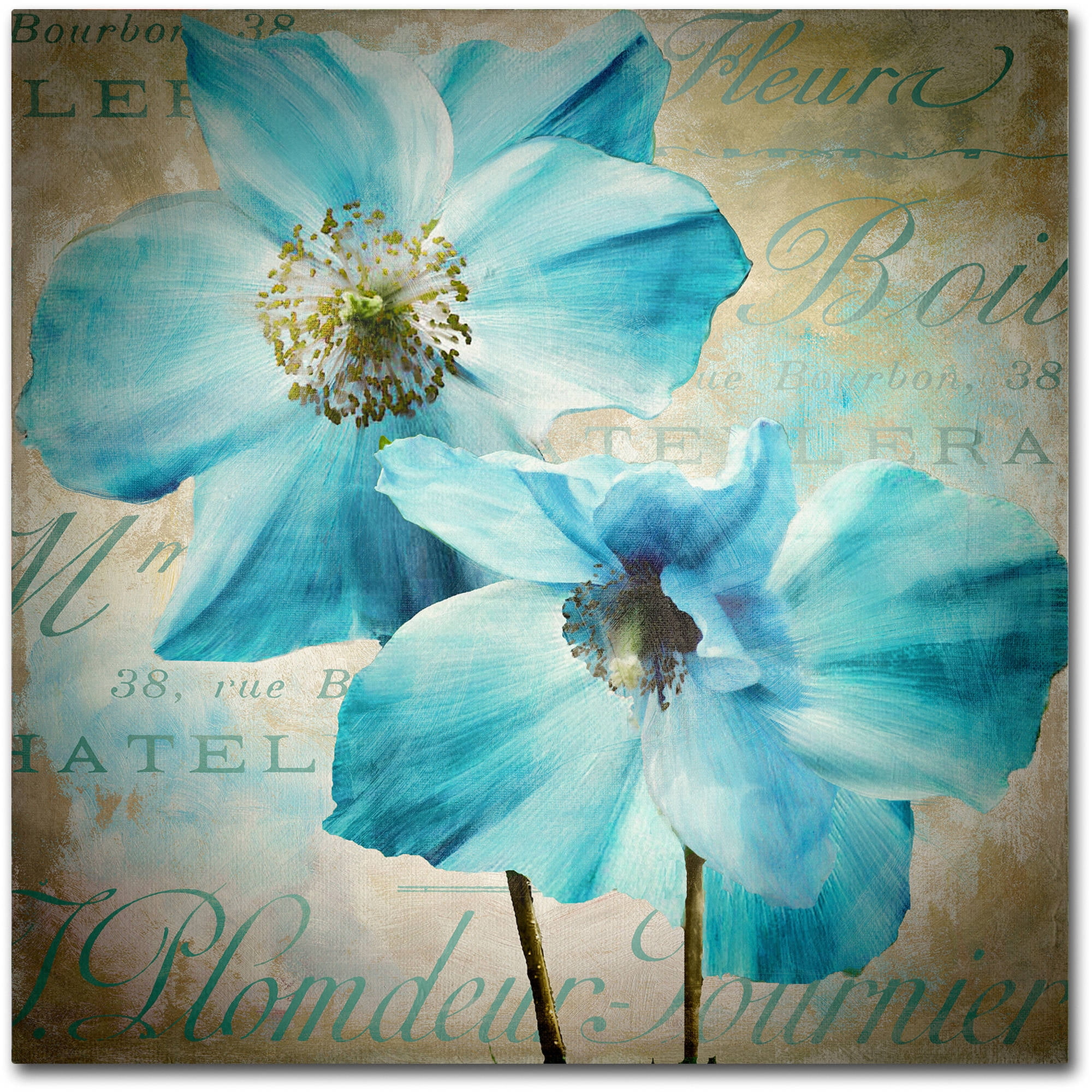 Trademark Fine Art "Himalayan Blue I" Canvas Art by Color Bakery
