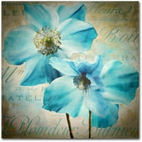 Trademark Fine Art "Himalayan Blue I" Canvas Art by Color Bakery